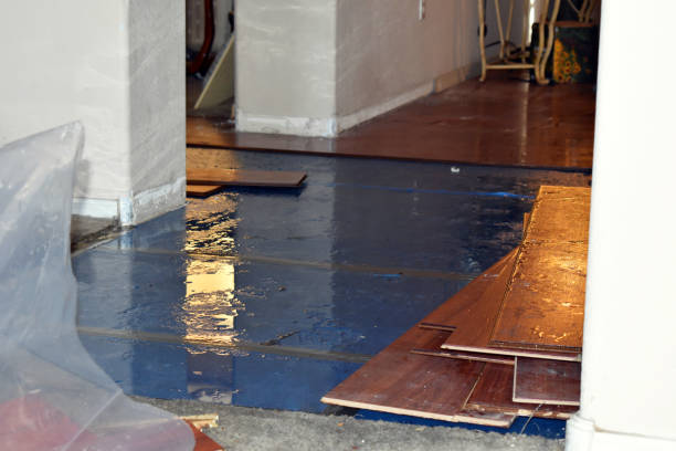 Professional Emergency Water Damage Restoration technician working in Blakeslee, OH